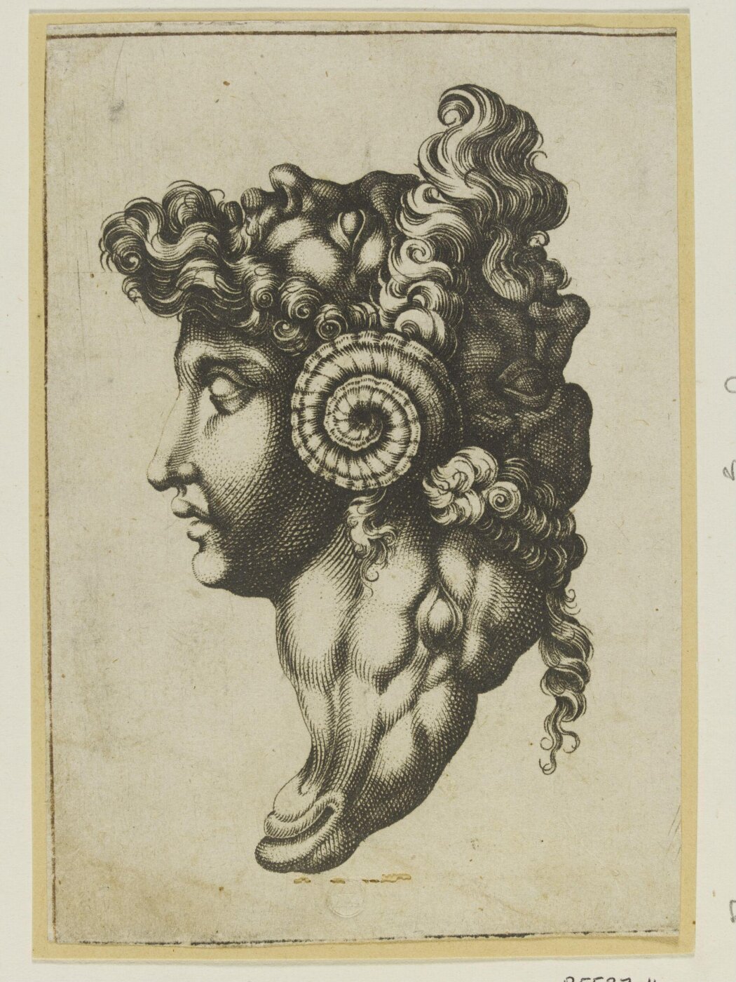 Unknown, Archimboldesque head