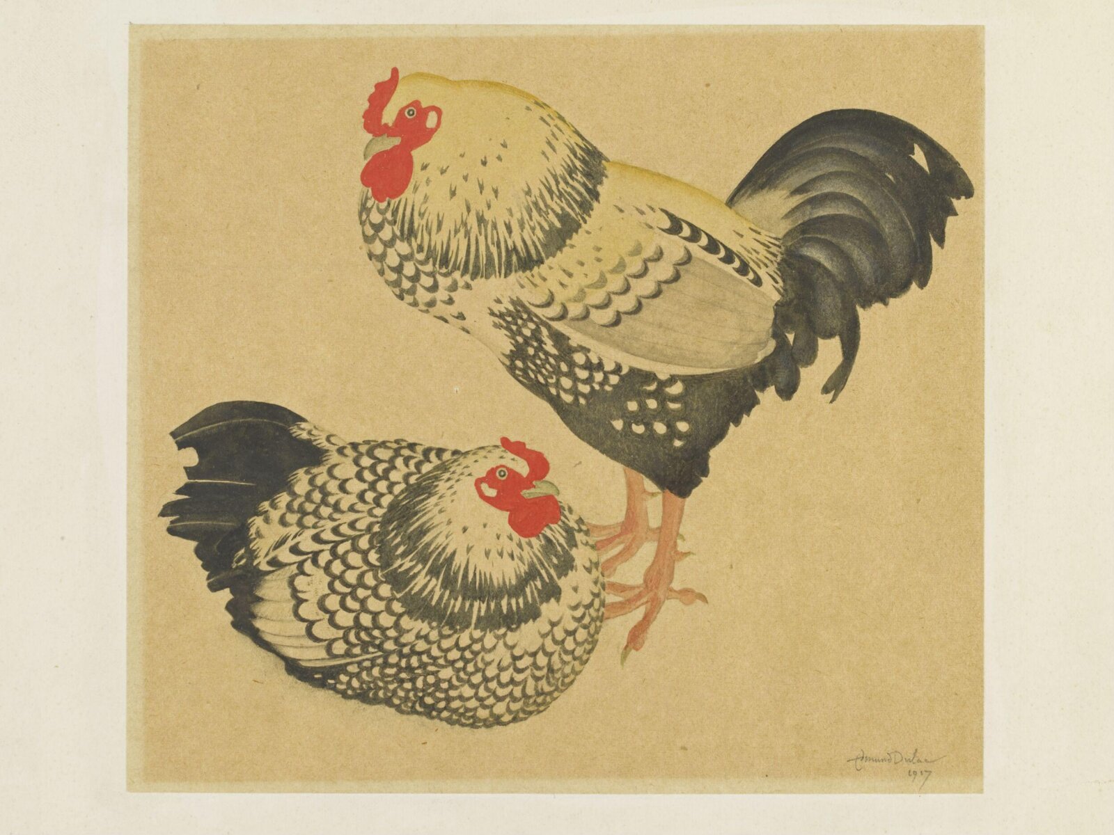 Two chickens, Edmund Dulac, 1917