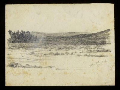 Elstead Heath