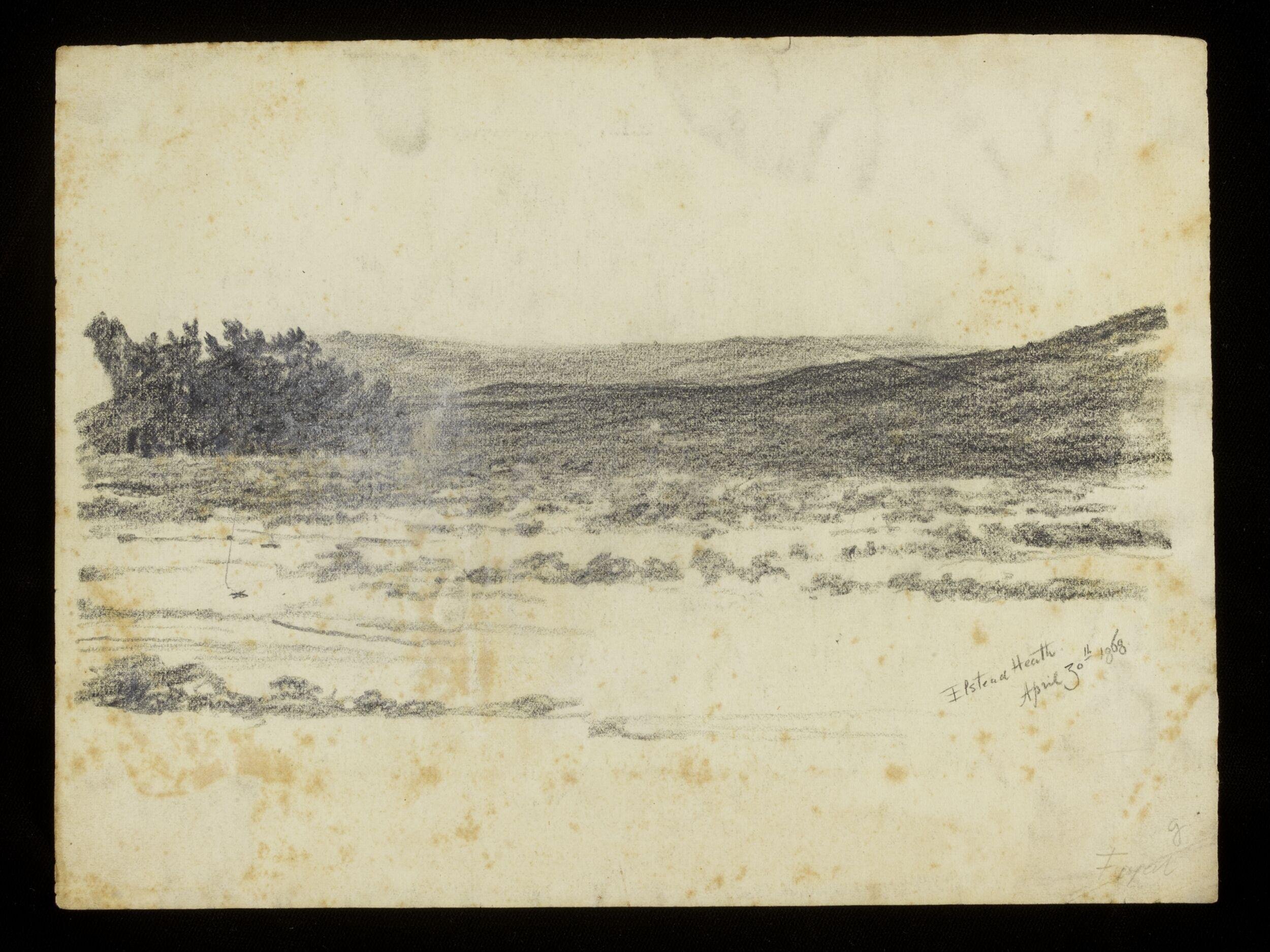 Elstead Heath