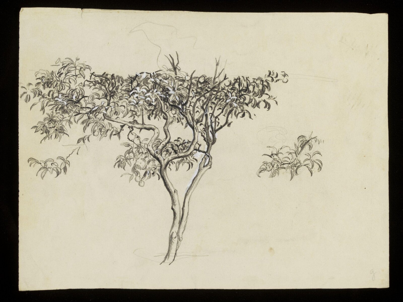 Tree, Luke Fildes, ca. 1860-1927