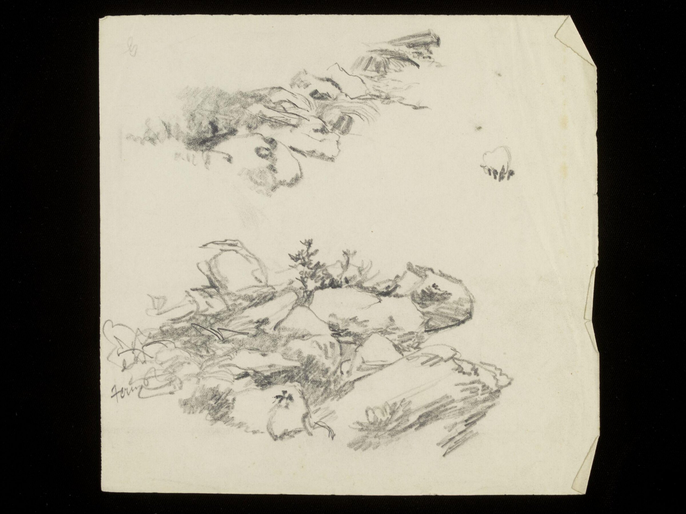 Rocks and shrubs, Luke Fildes, ca. 1860-1927
