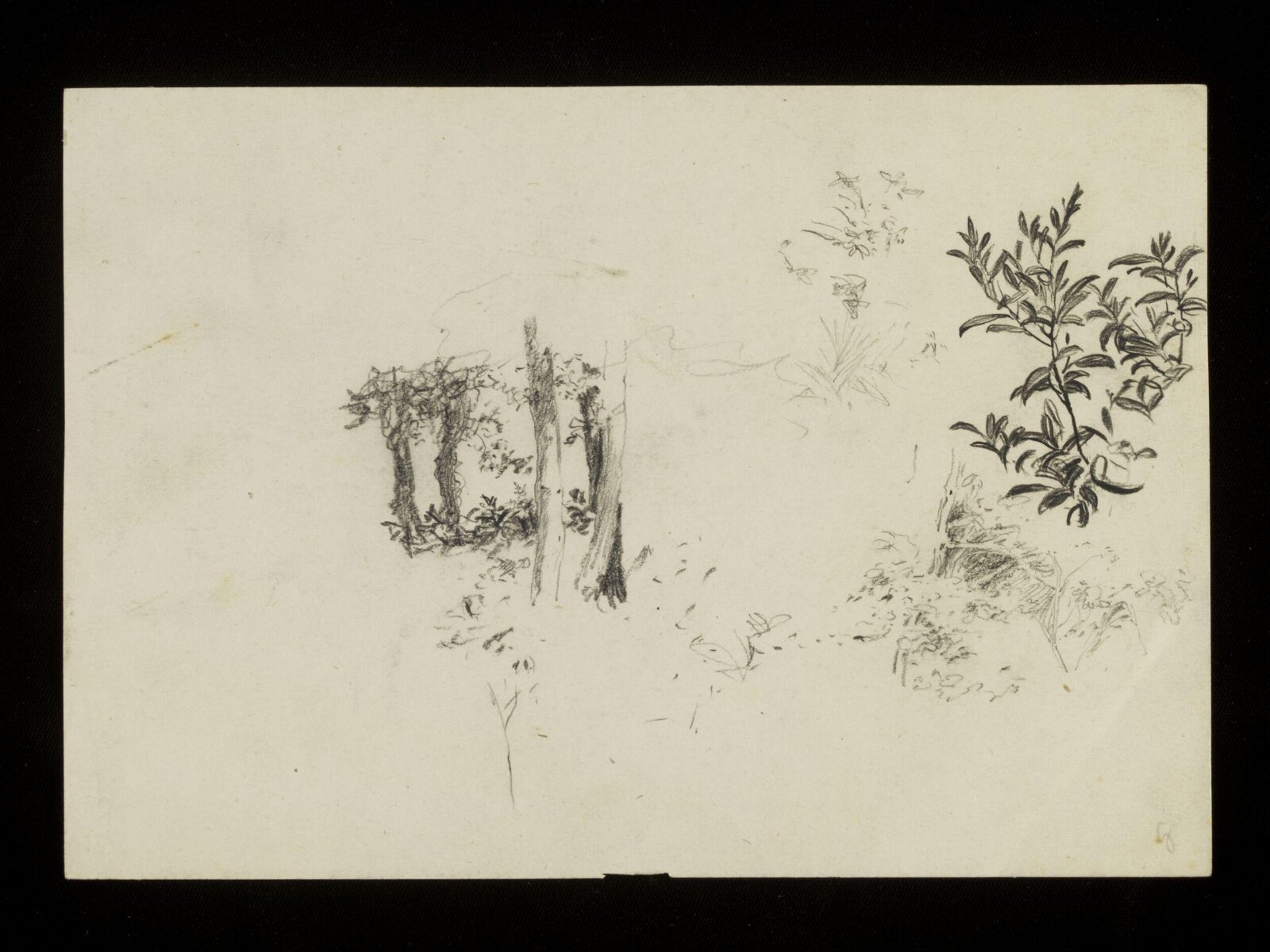 Trees and shrubbery, Luke Fildes, ca. 1860-1927