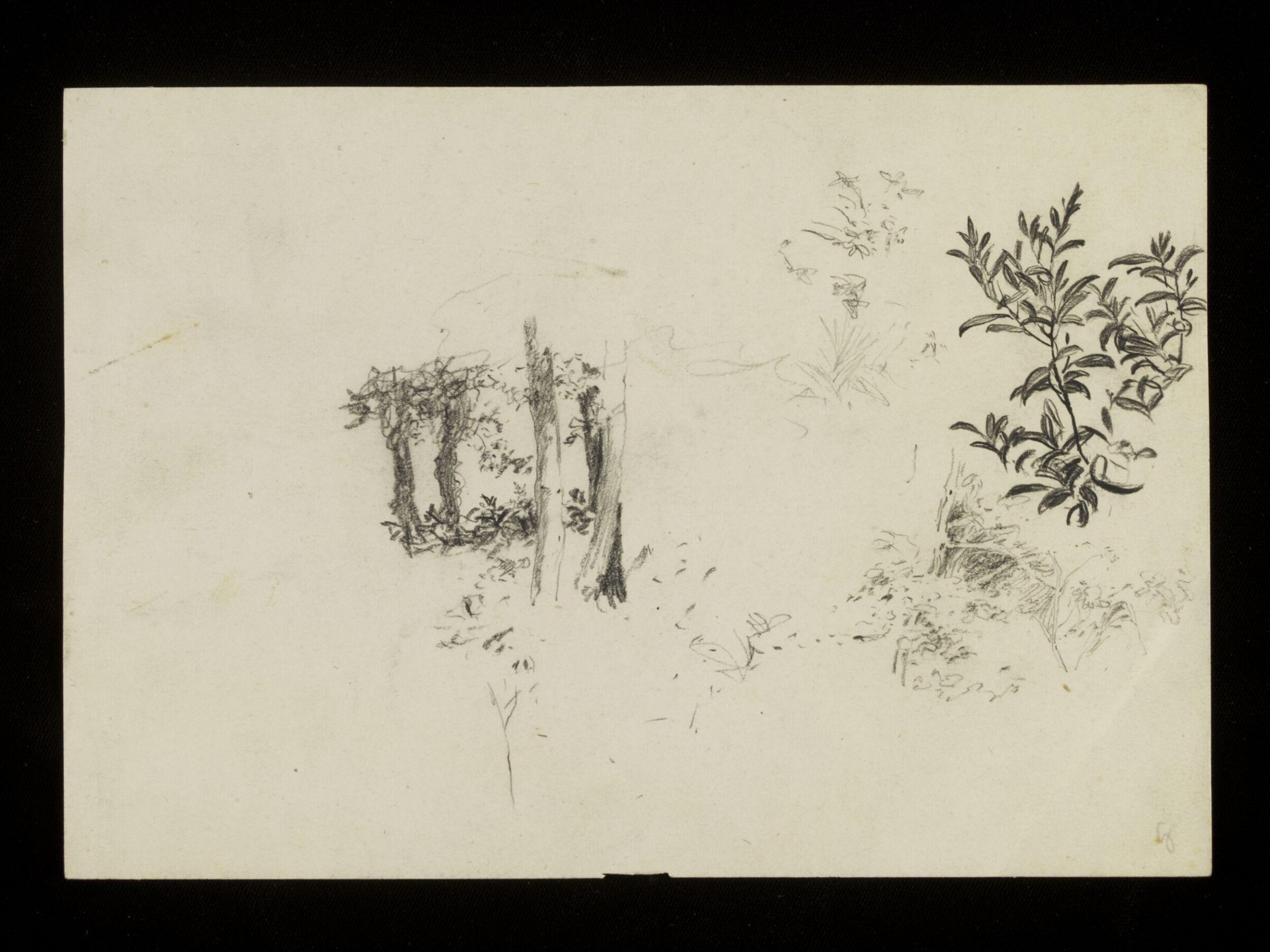 Trees and shrubbery, Luke Fildes, ca. 1860-1927