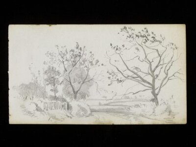 Landscape with a river and trees