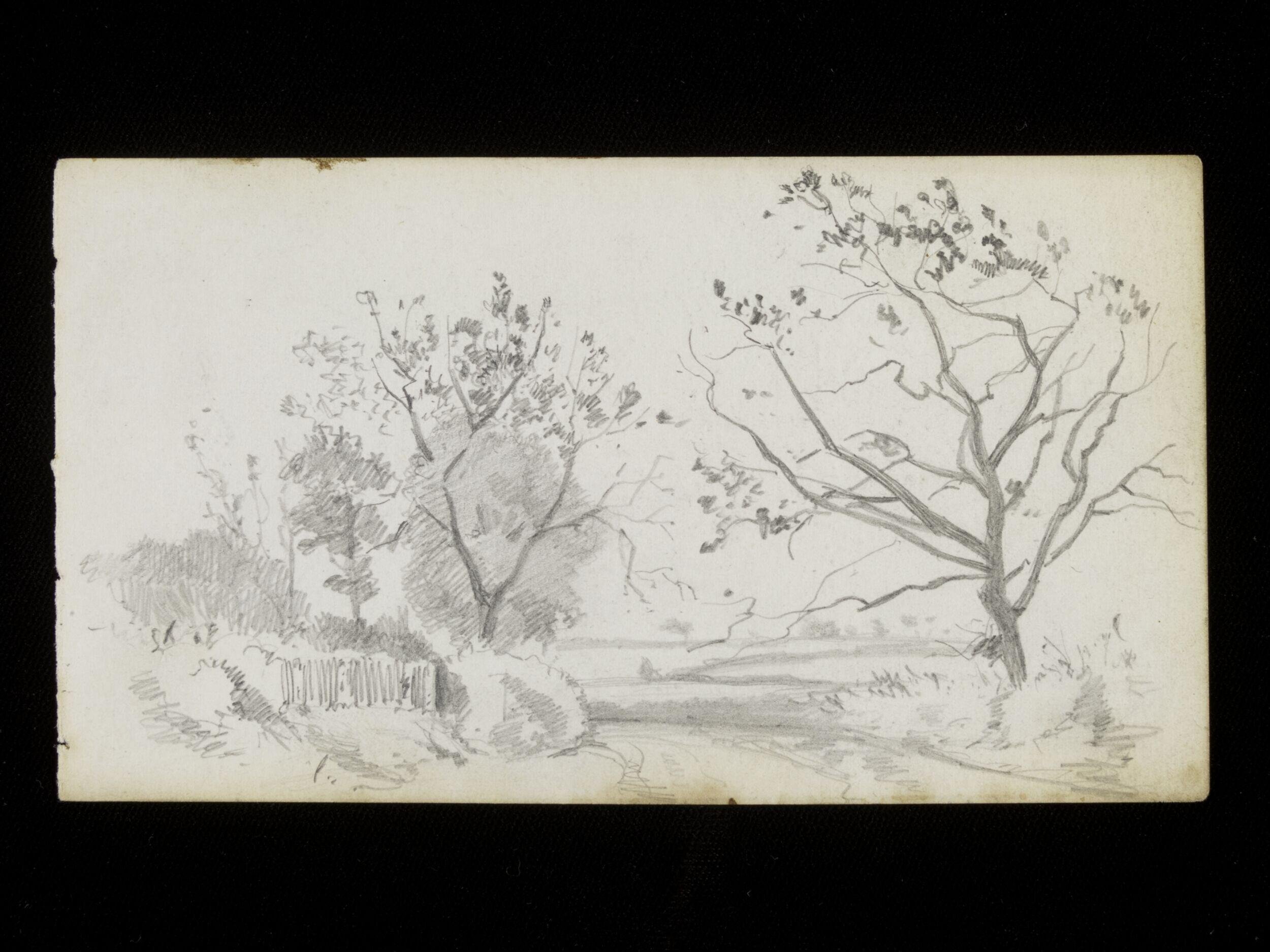 Landscape with a river and trees