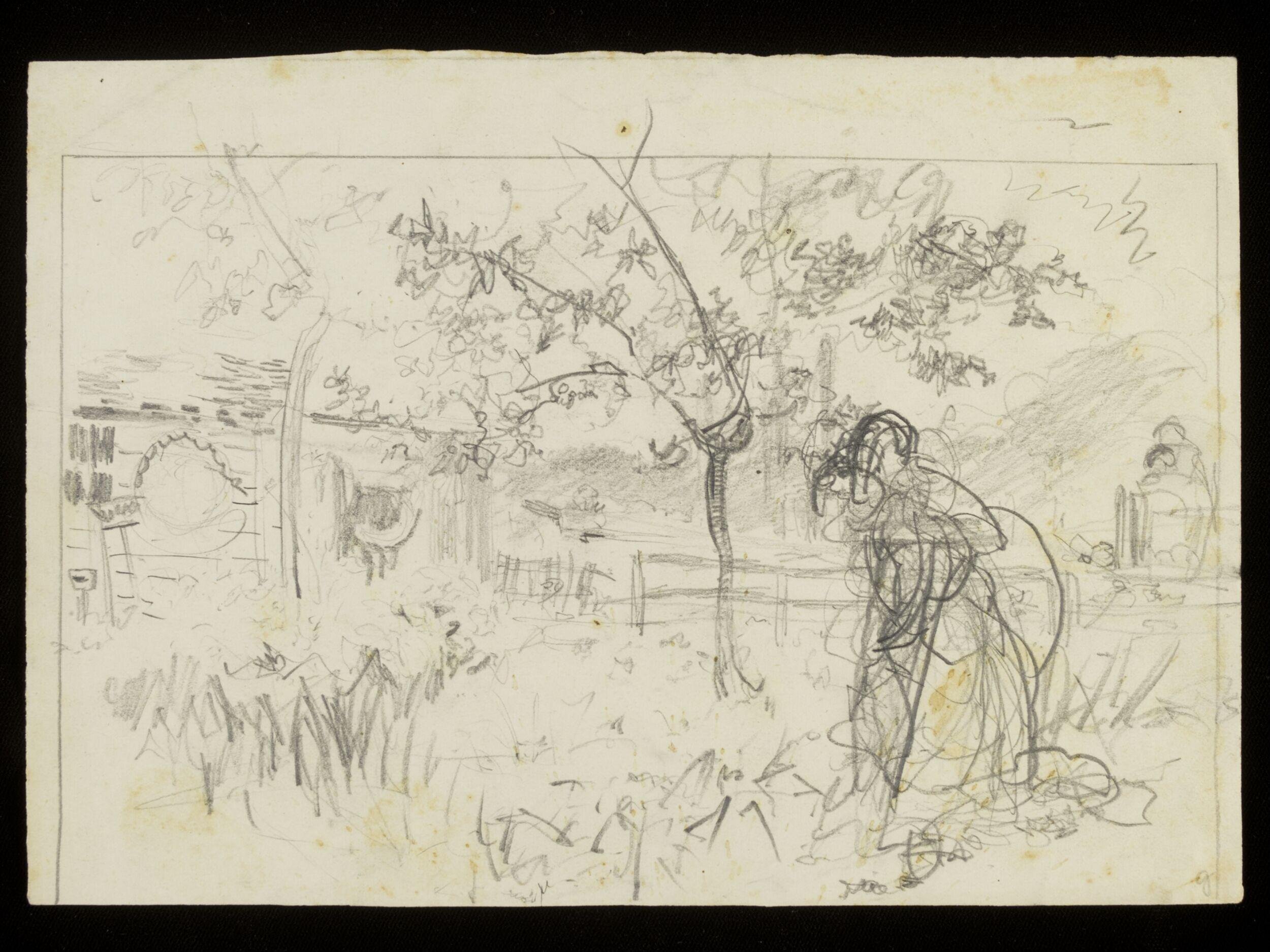 Building in a woodland scene
