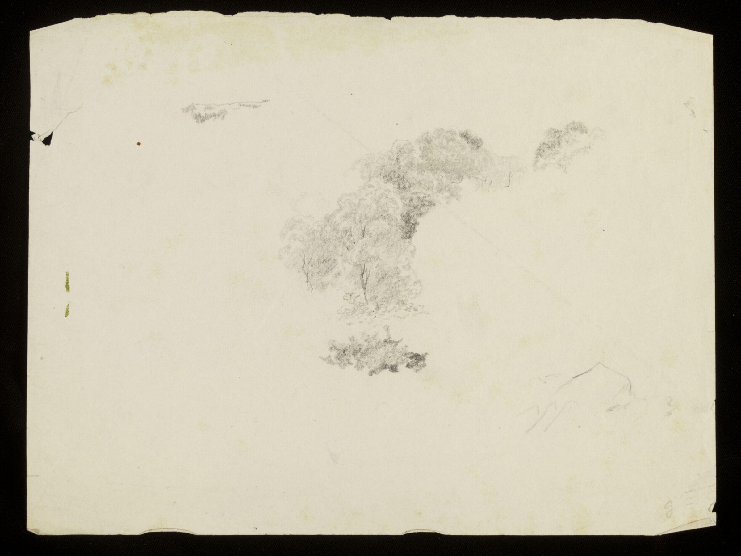 Trees, Luke Fildes, ca. 1860-1927