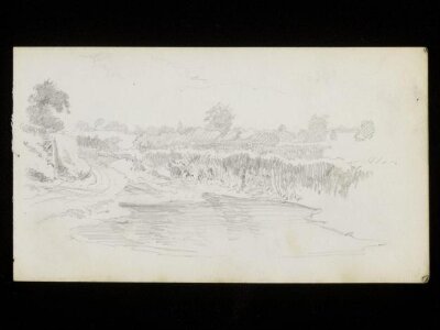Landscape scenes