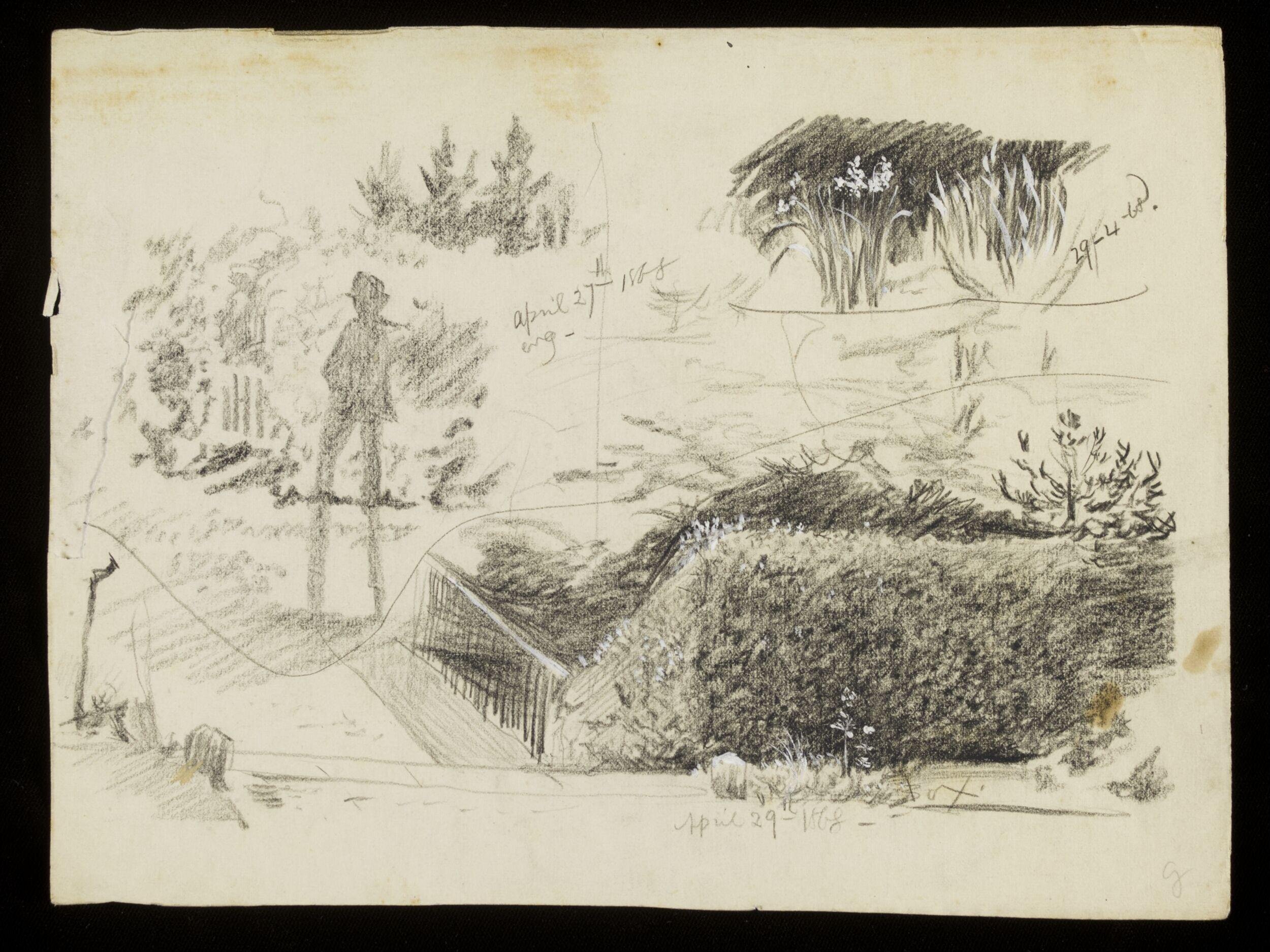 A figure and vegetation