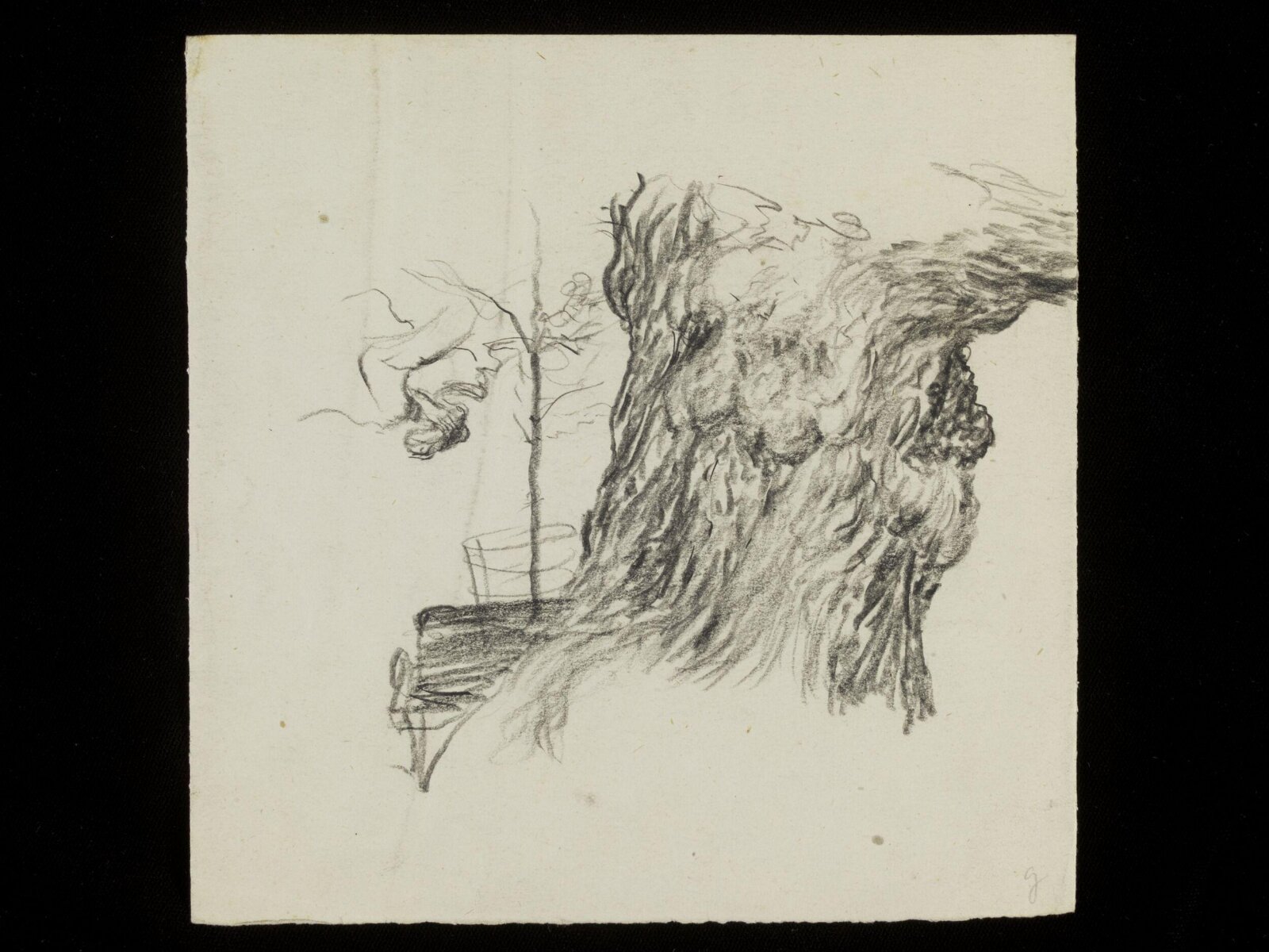 Gnarled tree trunk, Luke Fildes, ca. 1860-1927