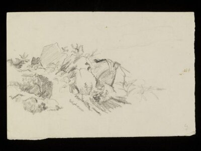 Rocky outcrop