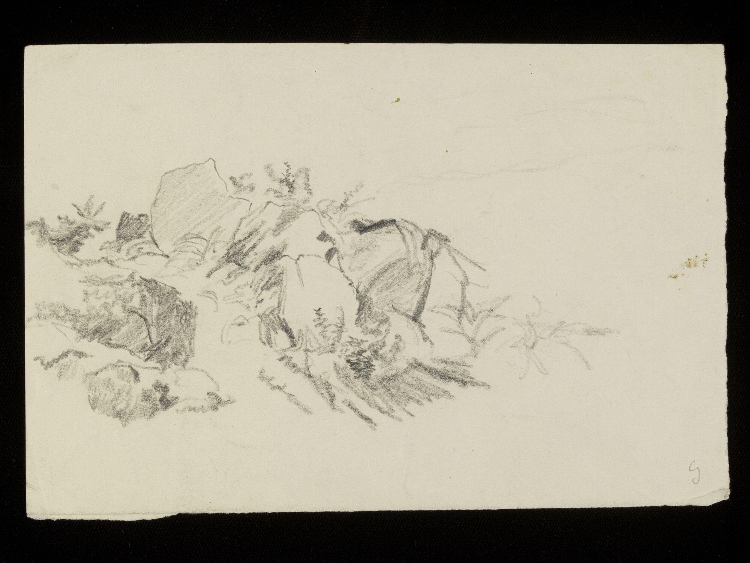 Rocky outcrop