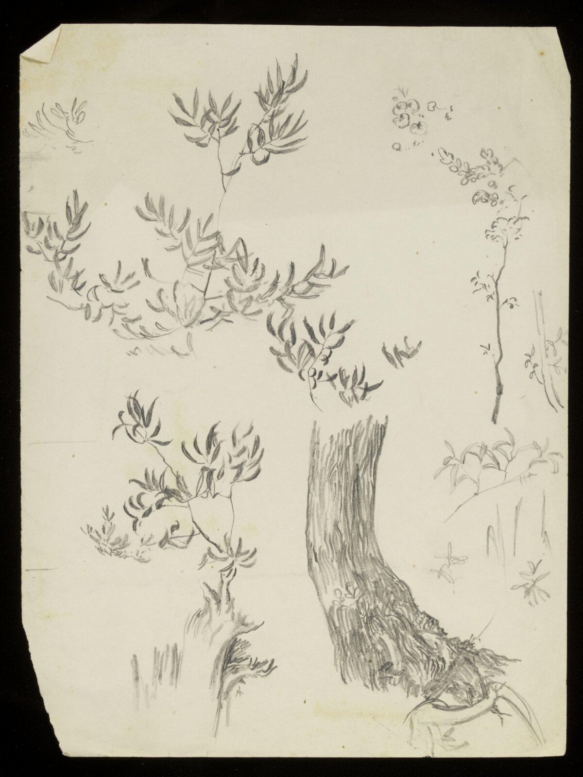 Vegetation, Luke Fildes, ca. 1860-1927