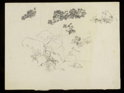Rocky outcrops and foliage
