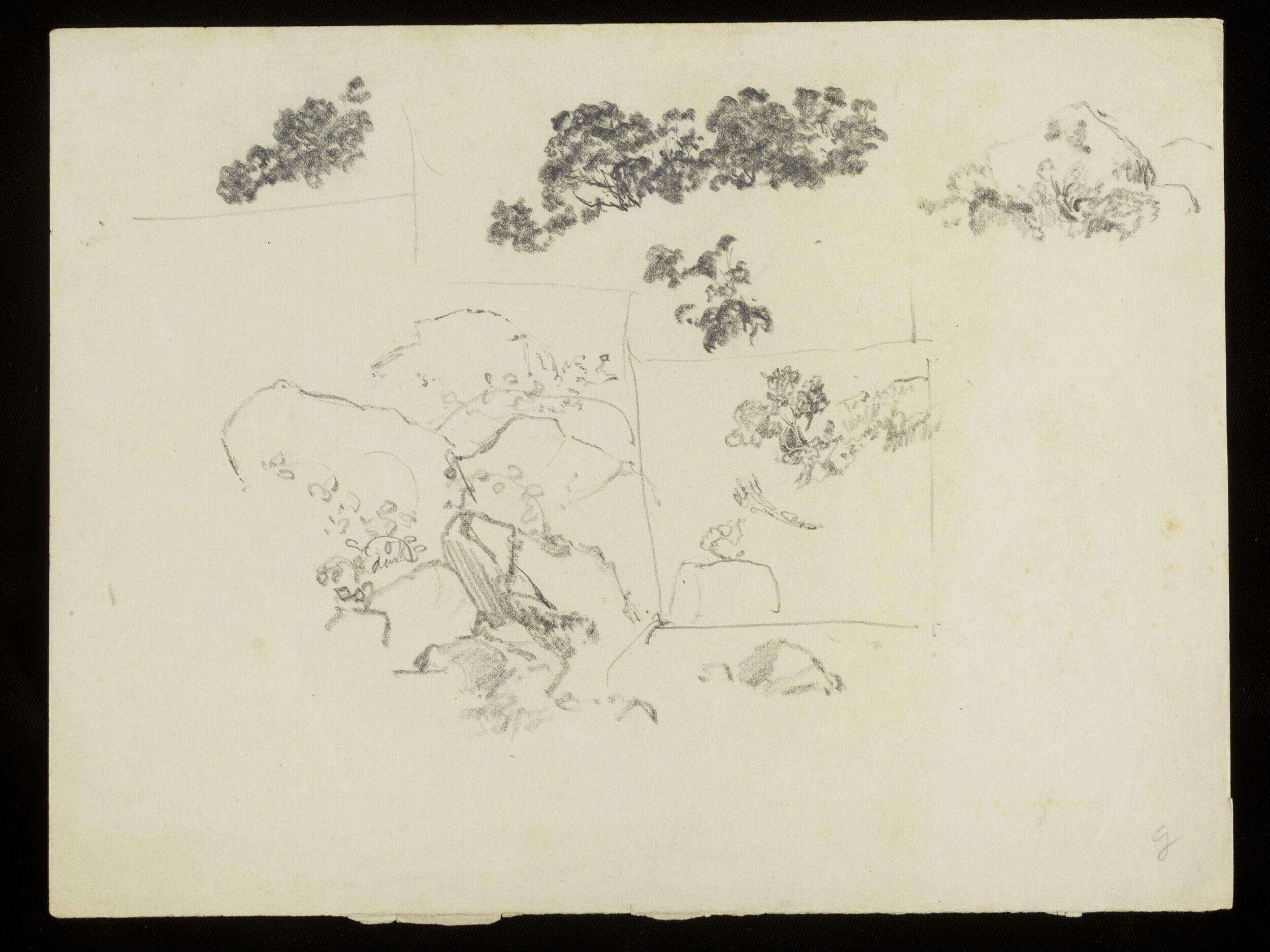 Rocky outcrops and foliage
