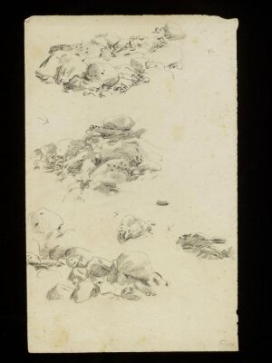 Rocky outcrops