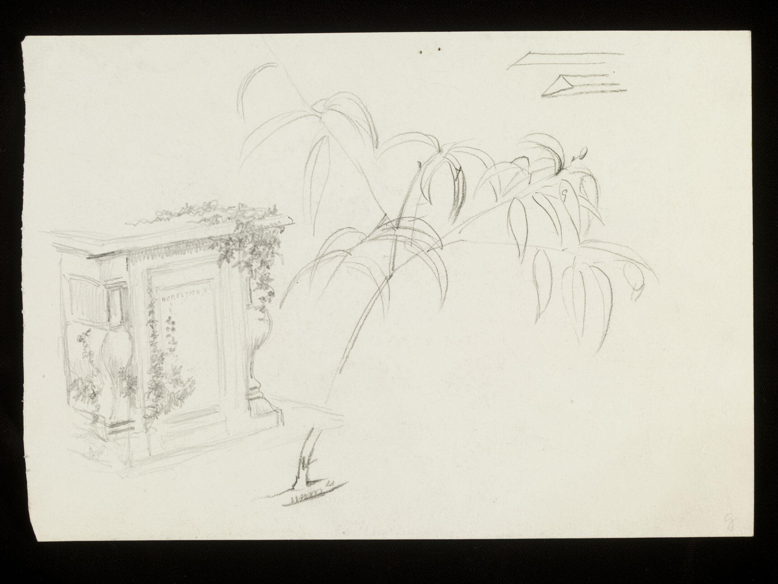 A tomb and tree branches