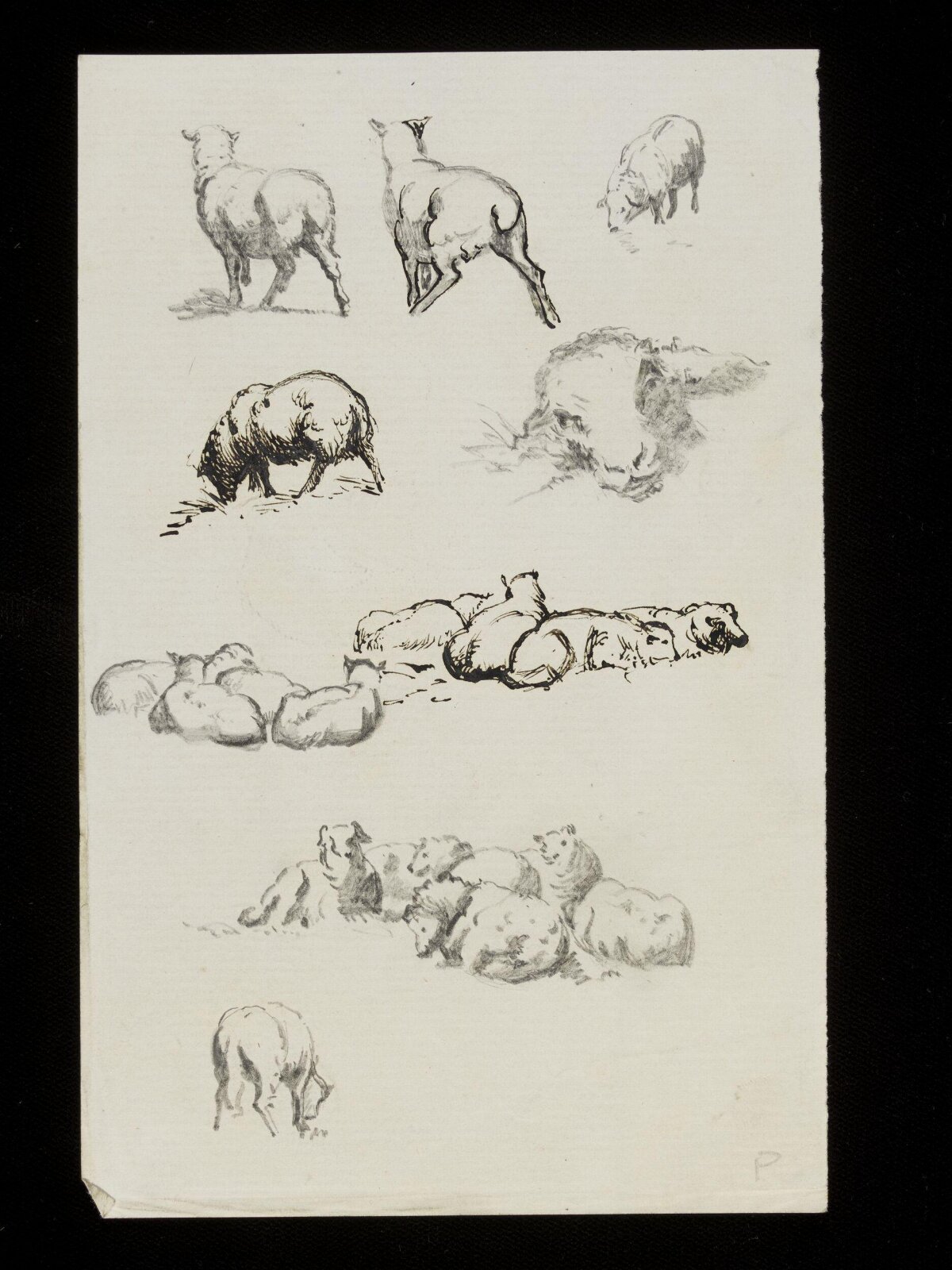 Sheep and lambs, Luke Fildes, ca. 1860-1927