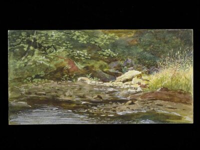River bank with grasses and trees