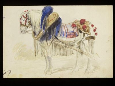 A Horse wearing a decorated harness
