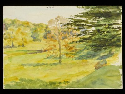 Landscape