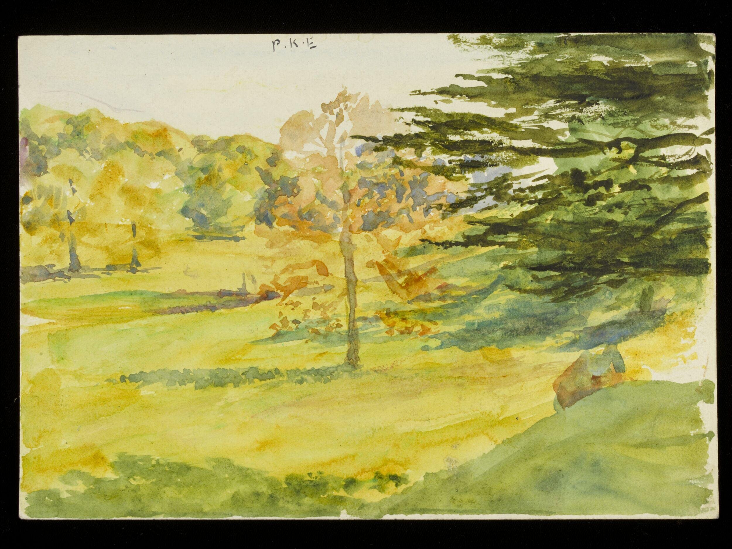 Landscape