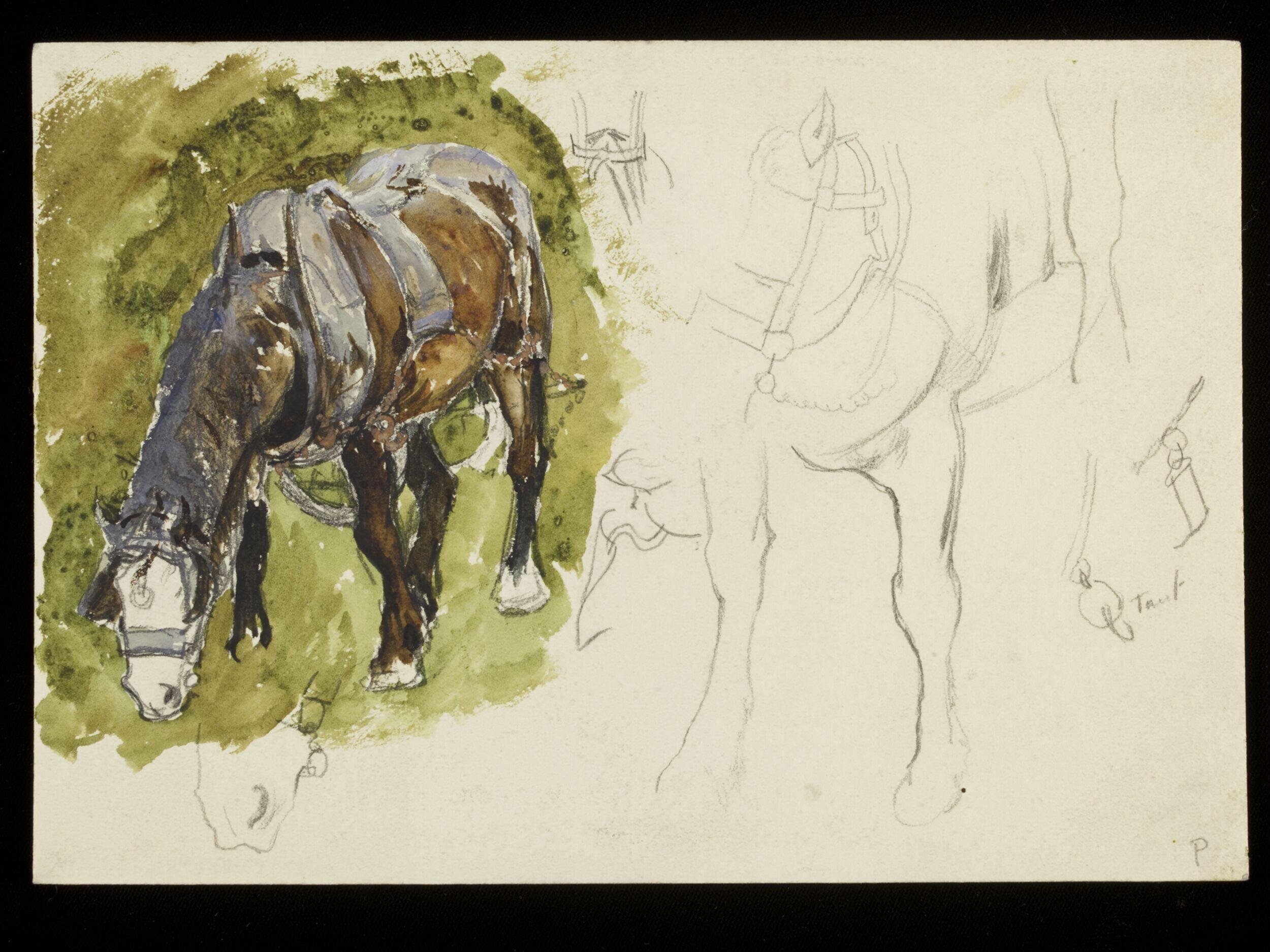 Horses