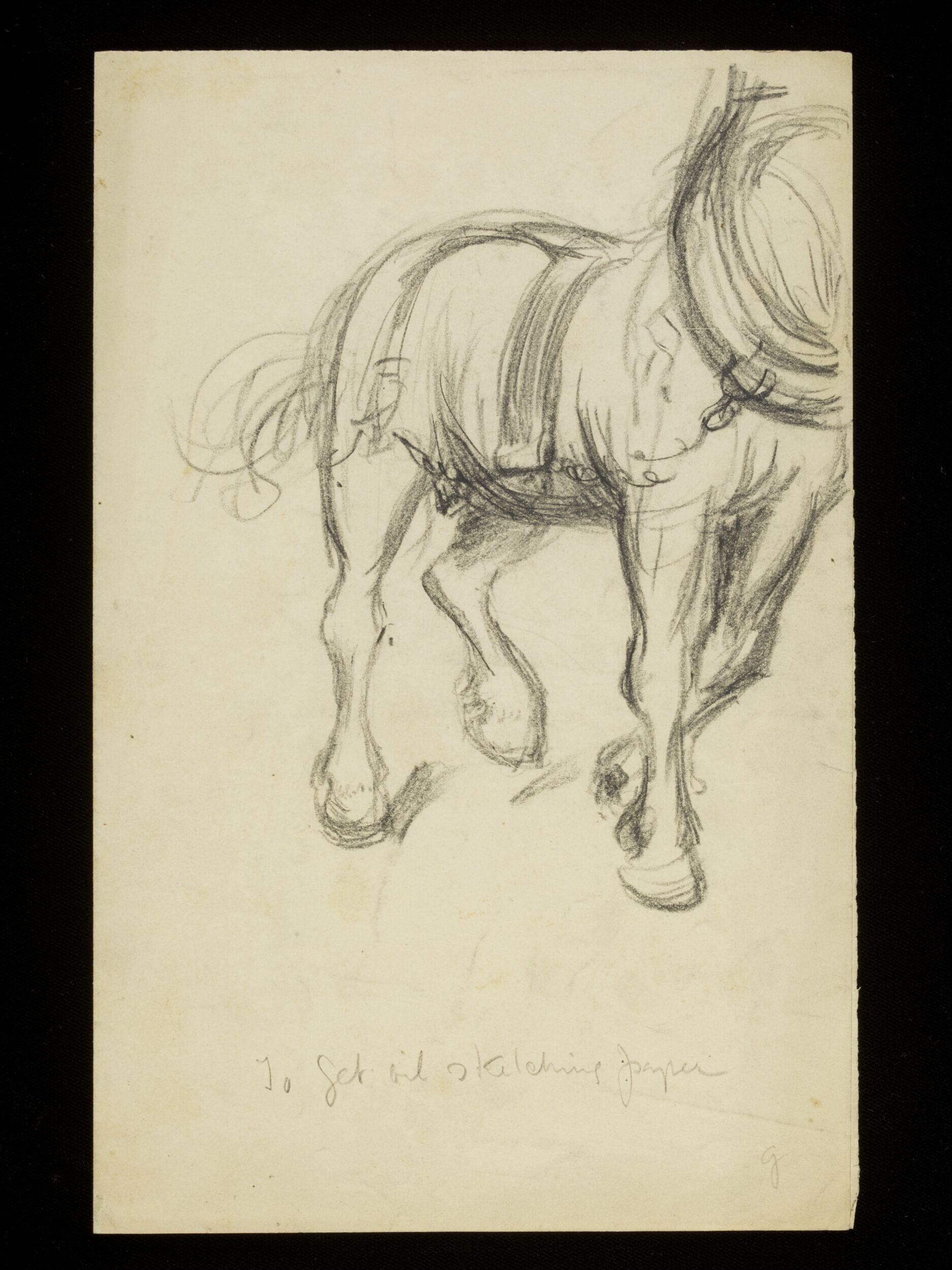 Horse