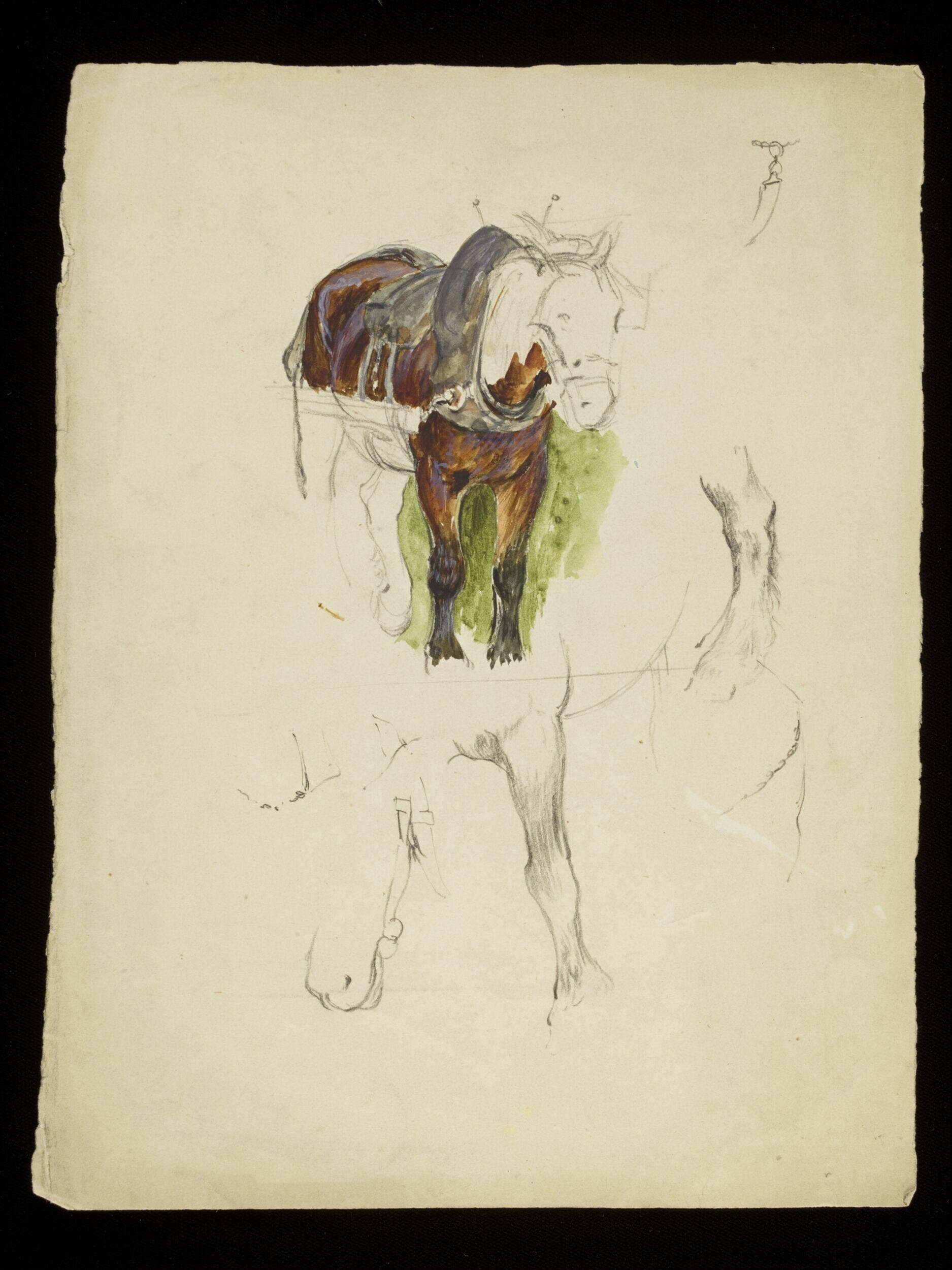 Horse
