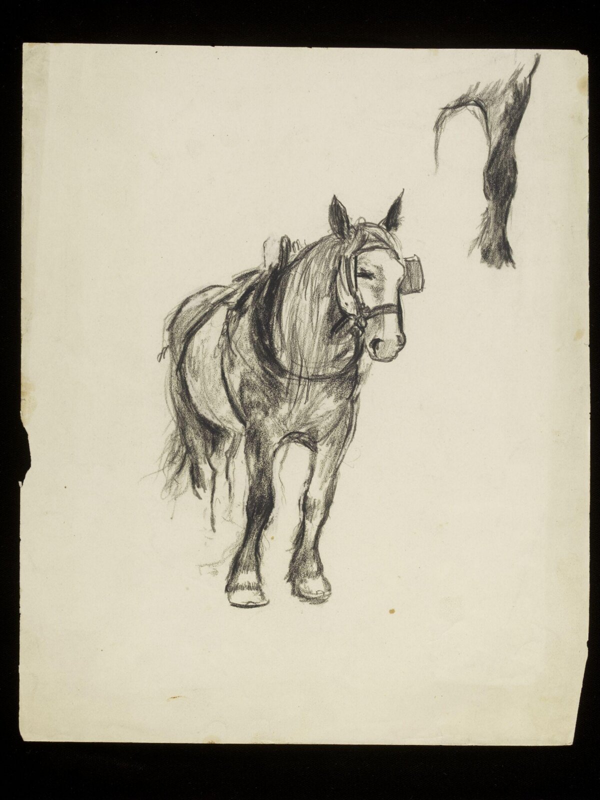 Horse, Luke Fildes, ca. 1860-1927