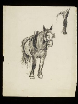 Horse