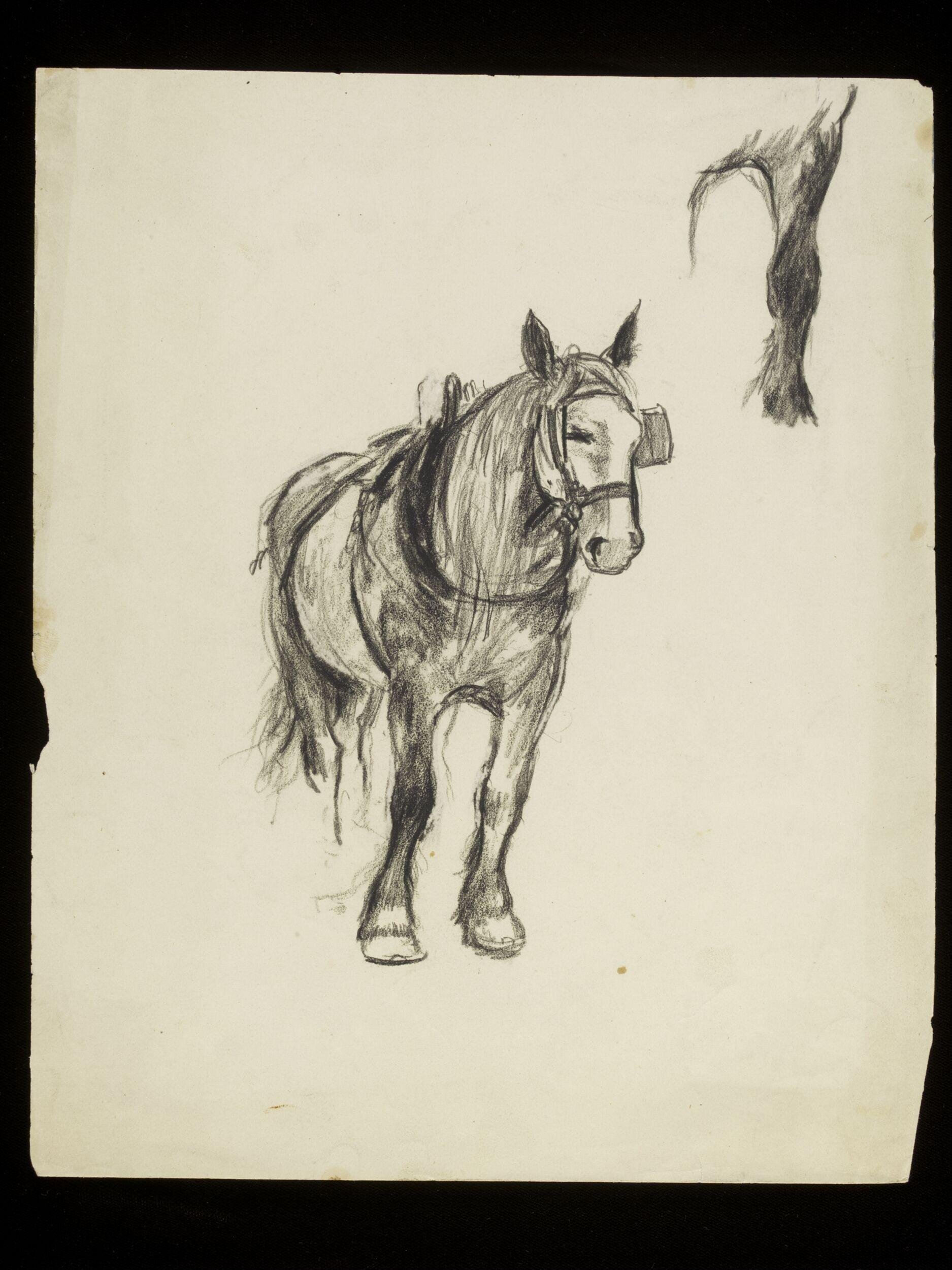 Horse
