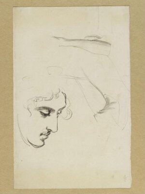 Arms and a head