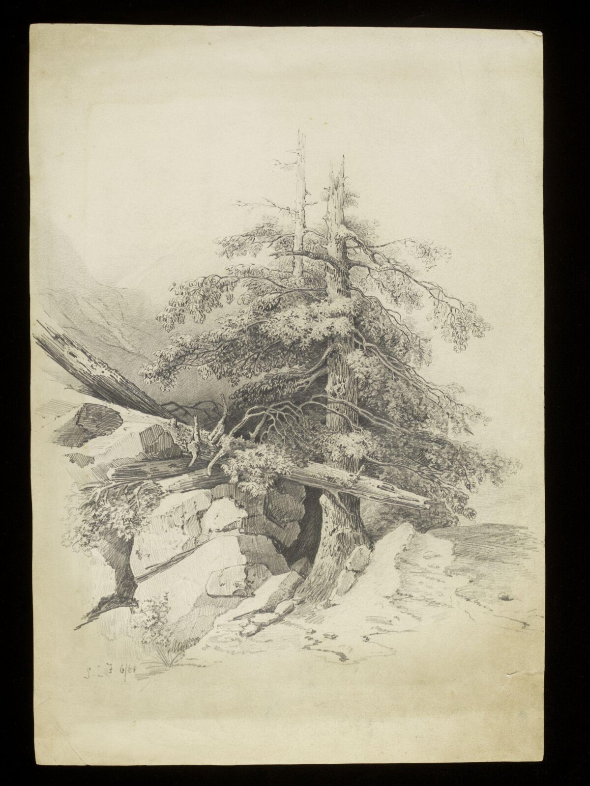 Trees, Luke Fildes, ca. 1860-1927