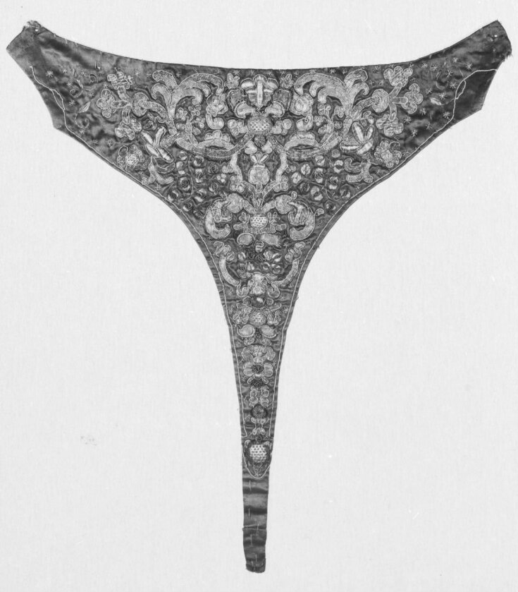 Stomacher top image