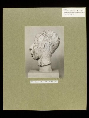 Plaster Cast of Terra Cotta Head.  Yoruba.