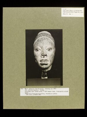 Plaster Cast of Terra Cotta Head.  Yoruba.