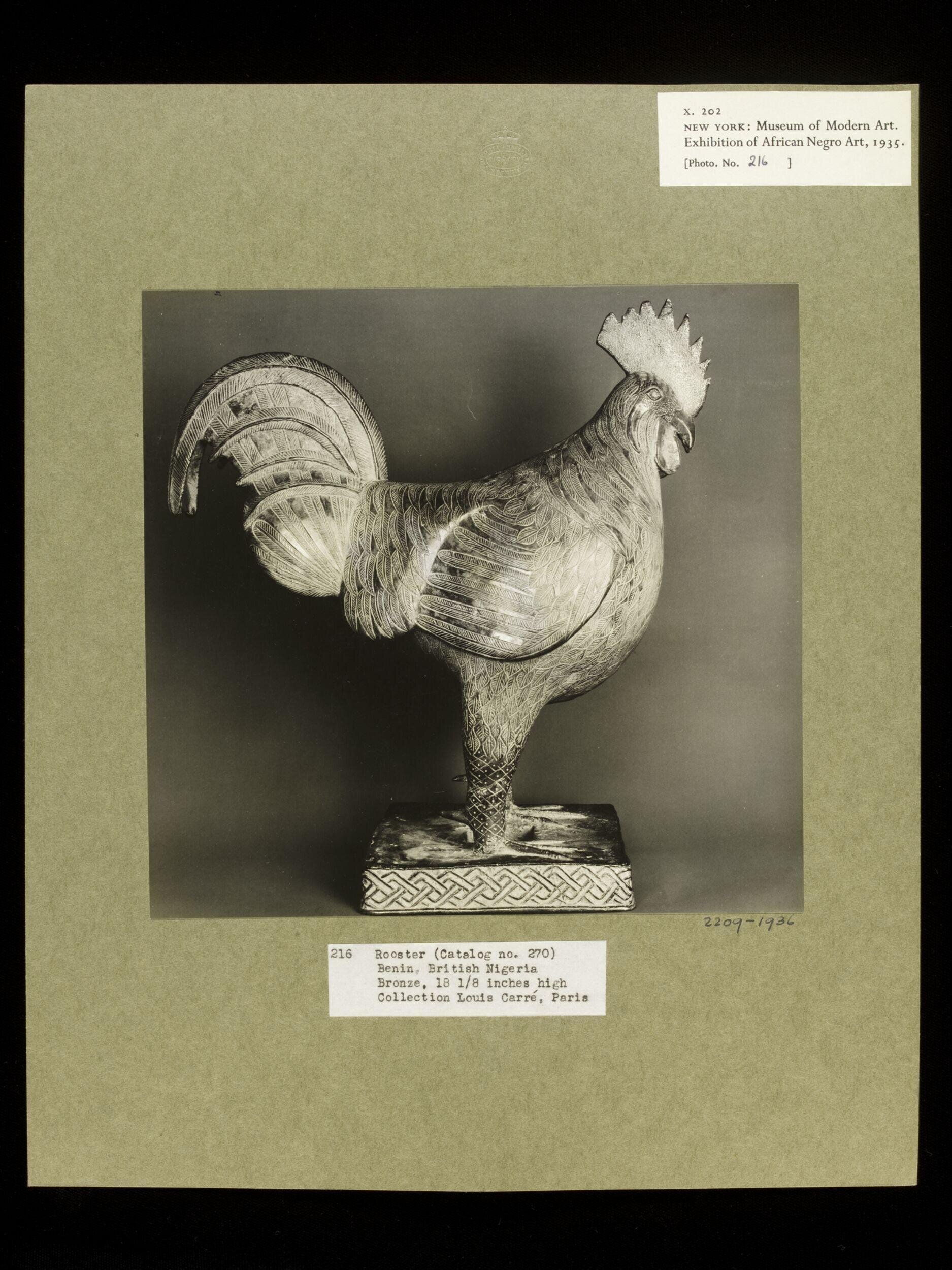Rooster.  Benin.
