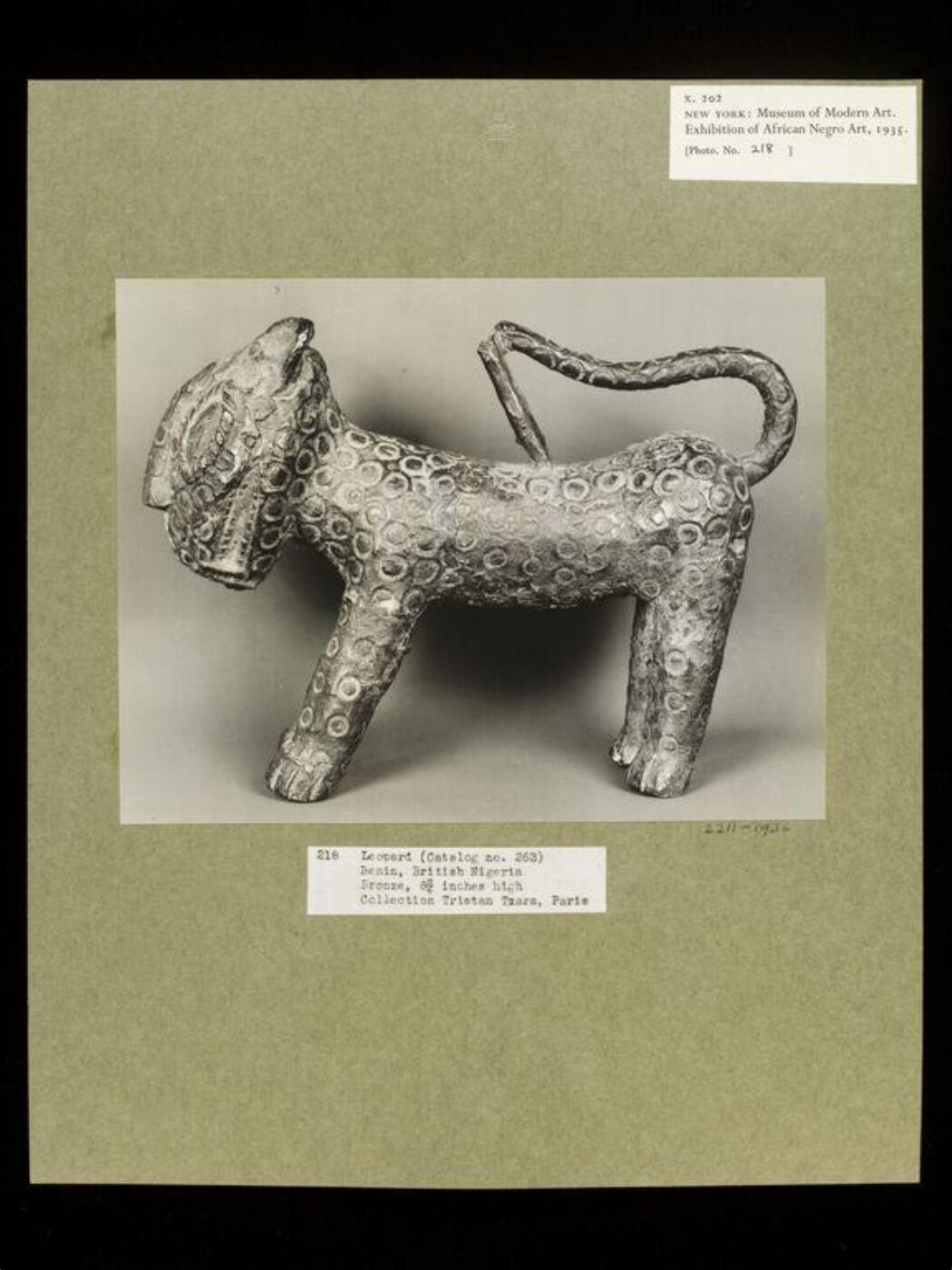 Walker Evans, Leopard.  Benin.