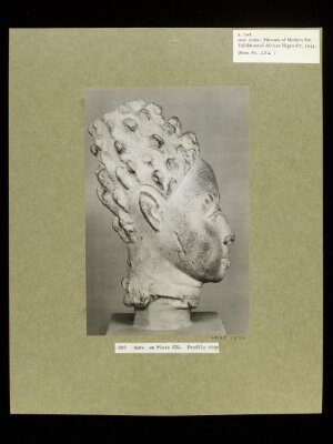 Plaster Cast of Terra Cotta Head.  Yoruba.