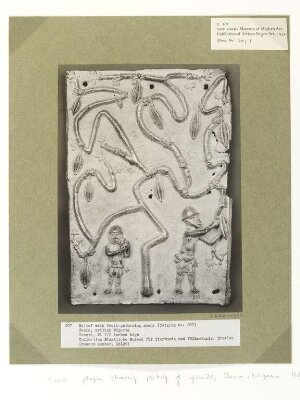 Relief.  Benin.