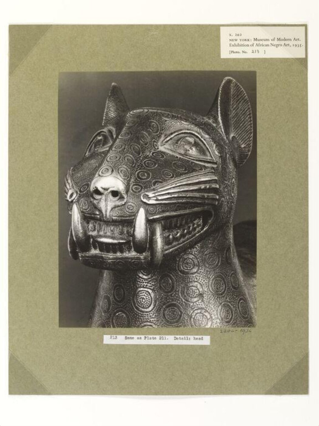 Walker Evans, Leopard.  Benin.
