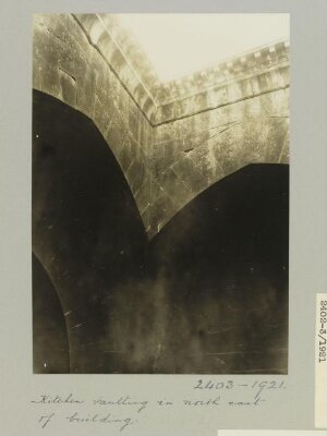 Vaulting in the Shrine of al-Husayn, Aleppo