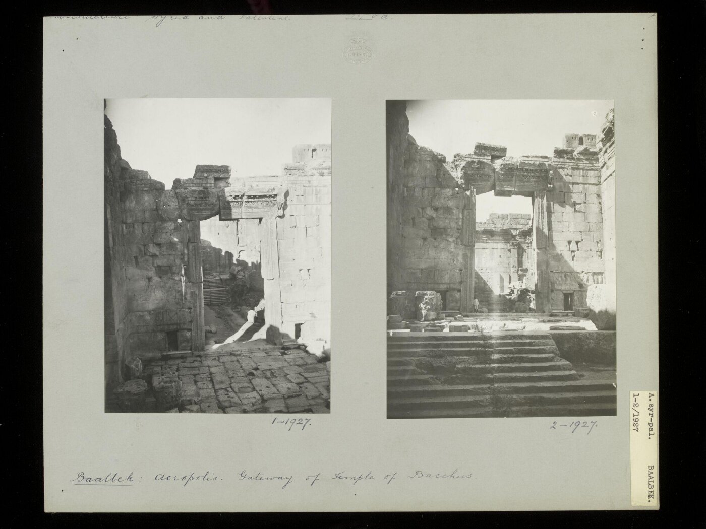 anonymous, Photograph