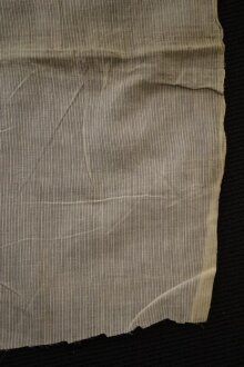 Striped Muslin thumbnail 1