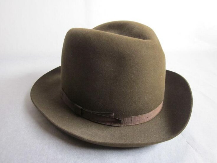 Trilby top image