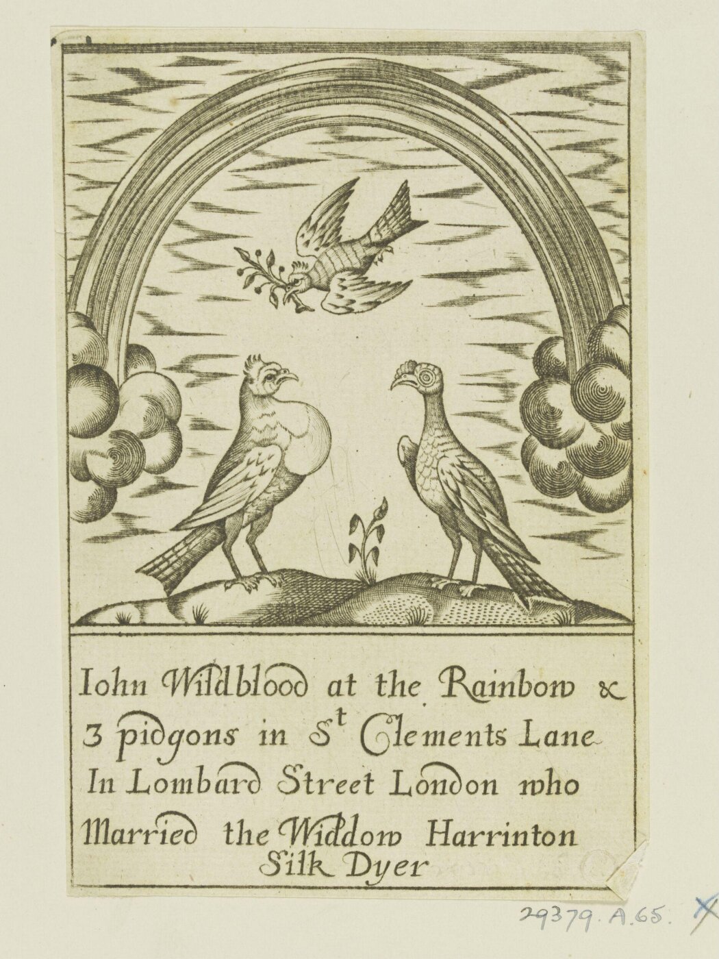 Unknown, Titles, tailpieces, book ornament etc