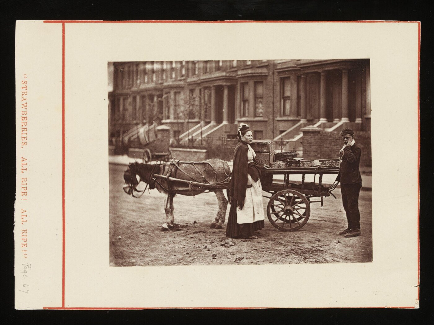 John Thomson, "Strawberries. All Ripe. All Ripe."