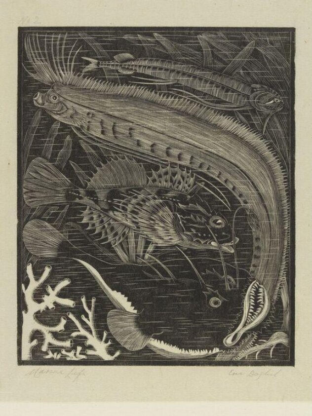 Marine Life (1926) by Eric Fitch Daglish